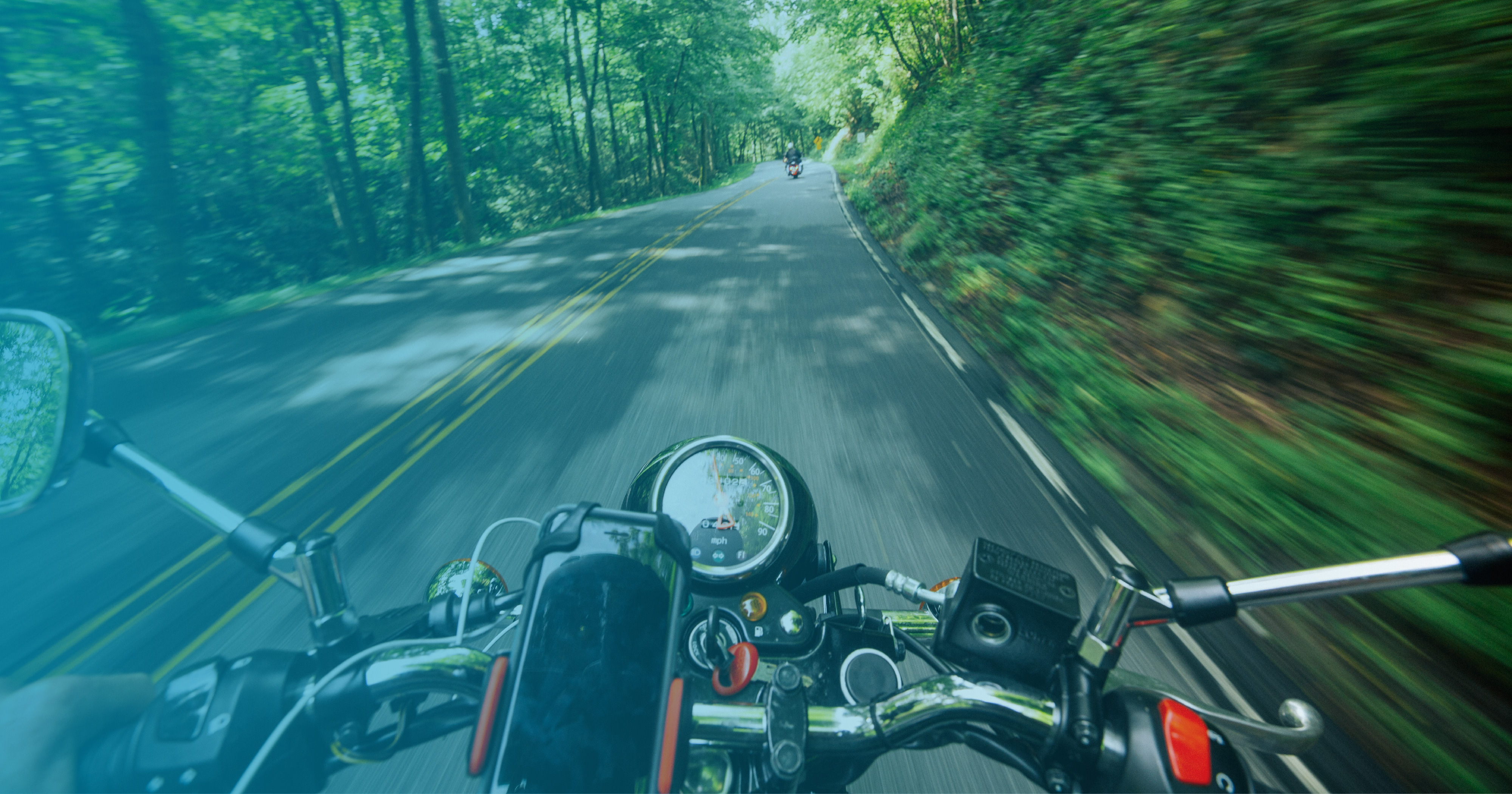 View of motorcycle handlebars speeding down forest road