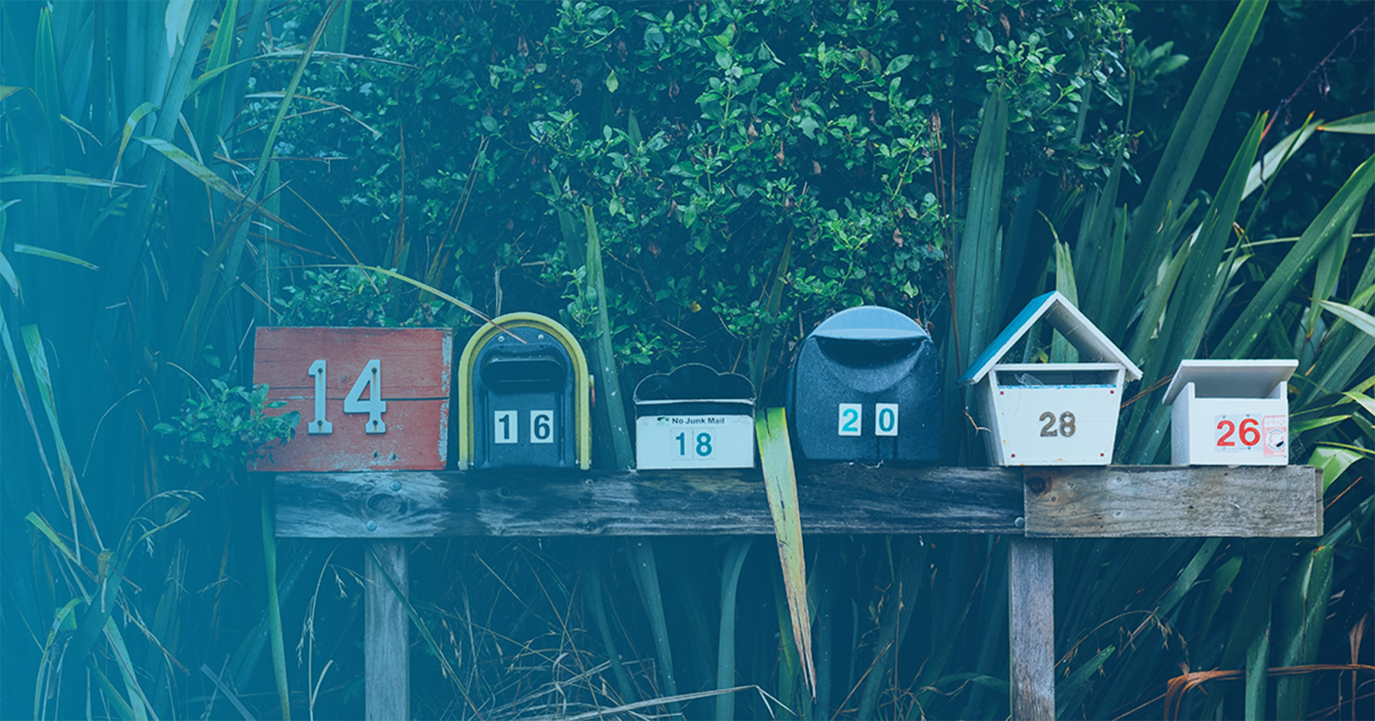 Newsletter Mailboxes